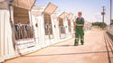 4-D Ag Bibbed Overall Adult Green : XL