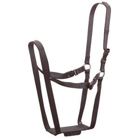 Ewe Marking Harness