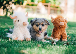 Highland Cow Dog Toy Assorted : 8 inches