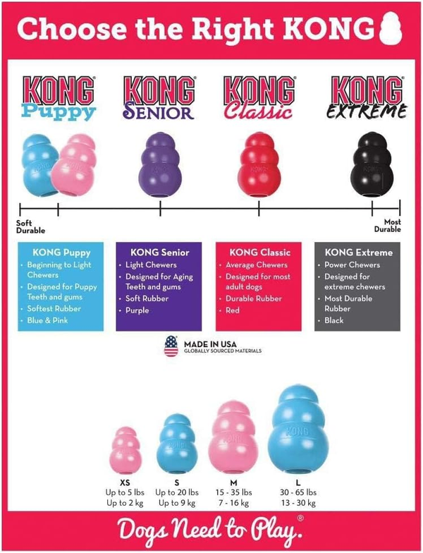 Kong Puppy: Medium Assorted Color each