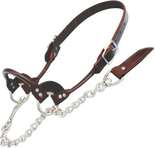 Leather Rolled Nose Show Halter : Brown Small