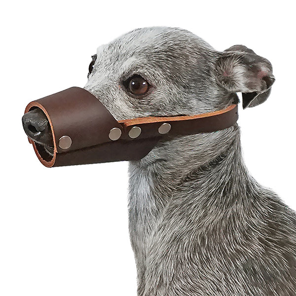 Jorgy Leather XL  Muzzle JO230E