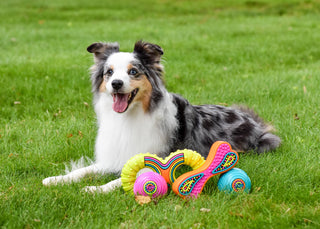 Grooverz Ball Dog Toy Assorted: 3.5 inches