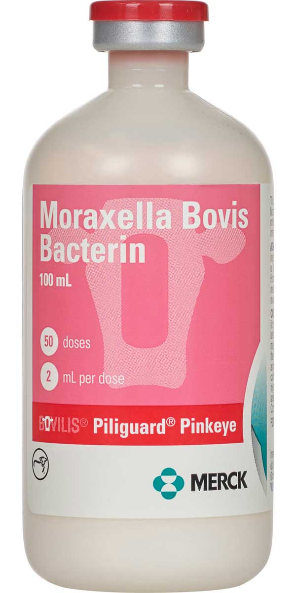 Bovilis Piliguard Pinkeye  100ml : 50ds