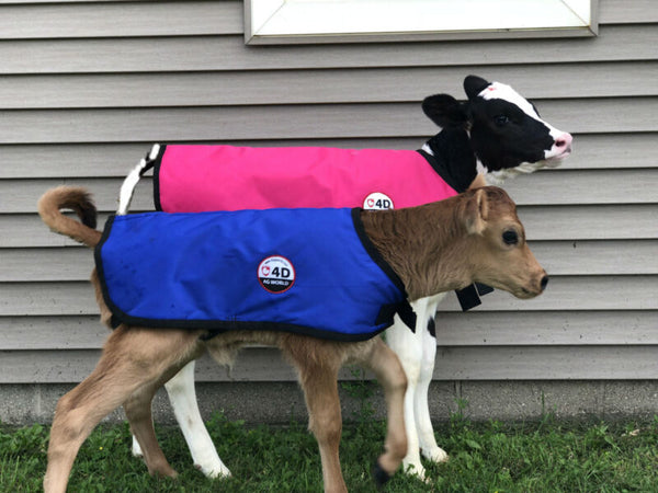 4-D AG Pink Calf Jacket : Large