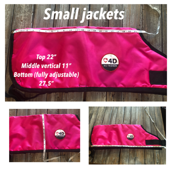 4-D AG Pink Calf Jacket : Large