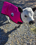4-D AG Pink Calf Jacket : Large