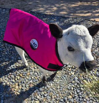 4-D AG Pink Calf Jacket :Small