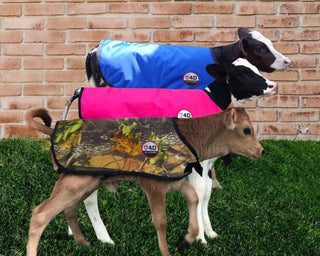 4-D AG Pink Calf Jacket :Small