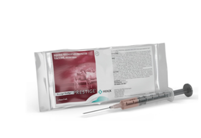 Prestige Prodigy (EHV-1) : 1ds