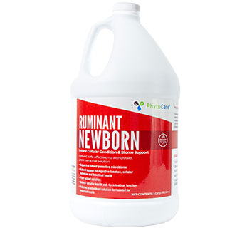 Phytocare Ruminant Newborn: Gal