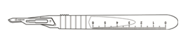 Disposable SS scalpels with handle #15 : 10ct