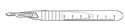 Disposable SS scalpels with handle #15 : 10ct