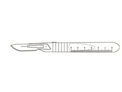 Securos Disposable Number 22 Scalpels : 10ct