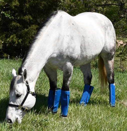 Shoofly Leggins Blue Large 4ct