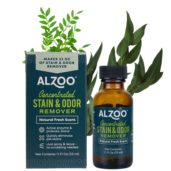 Alzoo Concentrated Stain & Odor Remover Kit : 32oz