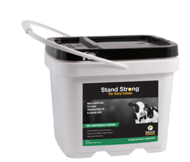 Stand Strong Dairy Calves : 8.5lb