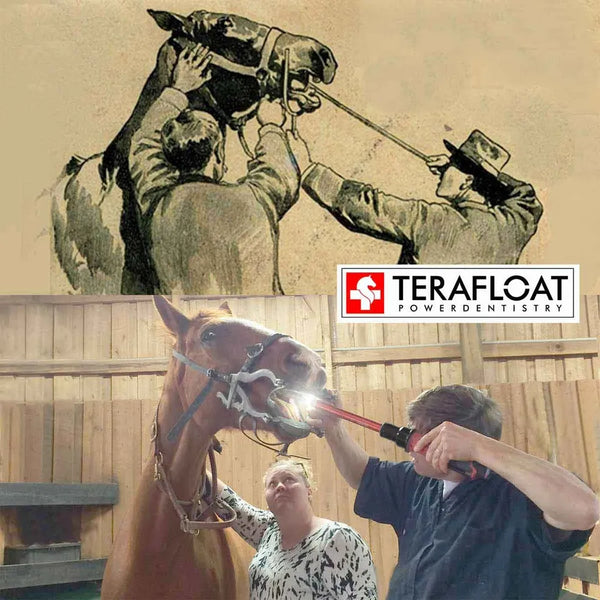 Terrafloat Eco Standard Set