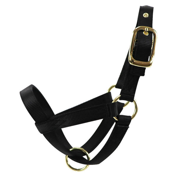 Turn Out Halter : Cow Black