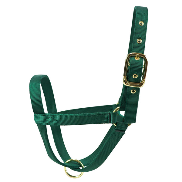 Turn Out Halter : Cow Green