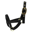 Turn Out Halter : Yearling Black