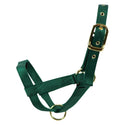 Turn Out Halter : Yearling Green
