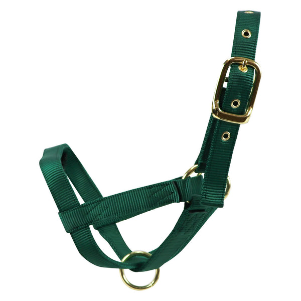 Turn Out Halter : Yearling Green