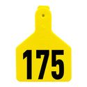 Z Tag Yellow No Snag Calf ID Tag - Numbered 151 - 175 : Pack of 25