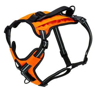 Petsafe Walk Along Harness  Orange : Medium