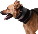 Bite Free Recovery Collar : 5