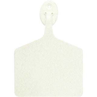 Allflex White Feedlot Blank Tags : Pack of 50