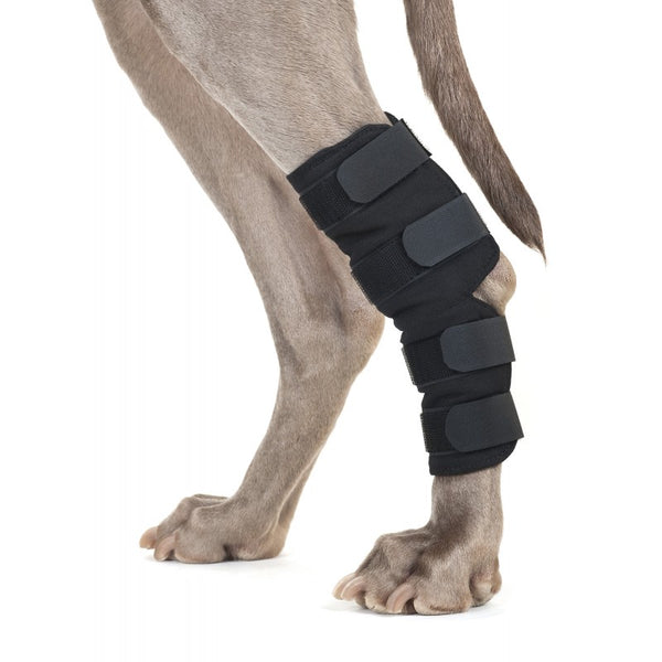 Back on Track Dog Therapeutic Hock Wrap : Medium