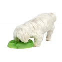 Buster Dog Maze Bowl : Light Blue