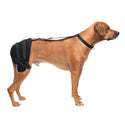 Caldera Pet Therapy Wrap w/Gel Pack-Hip : Medium