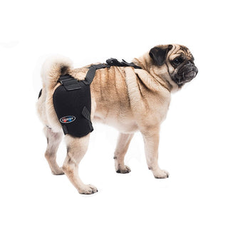 Caldera Pet Therapy Wrap w/Gel Pack-Hip : Medium