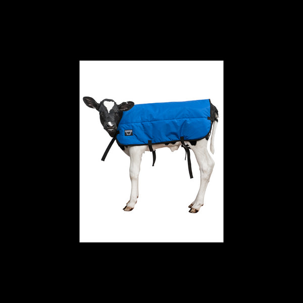 Calf Blanket Blue