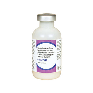 Citadel VL5 HB 10ds : 10ds