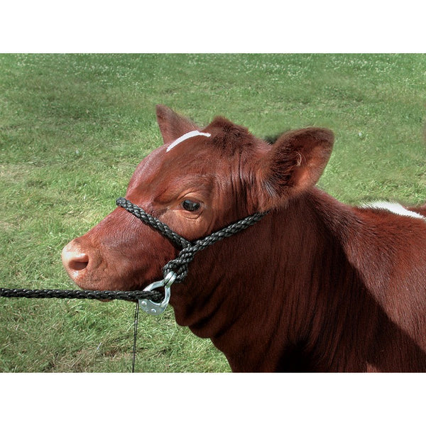 Doctoring Vet Halter with Quick Release