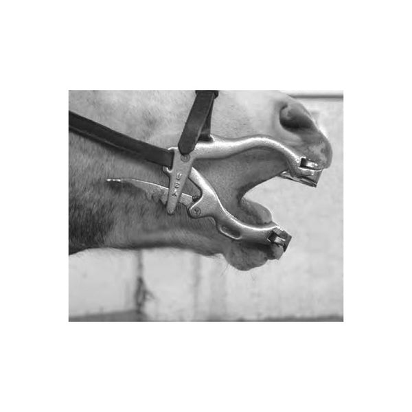 McPherson Equine Dental Mouth Speculum