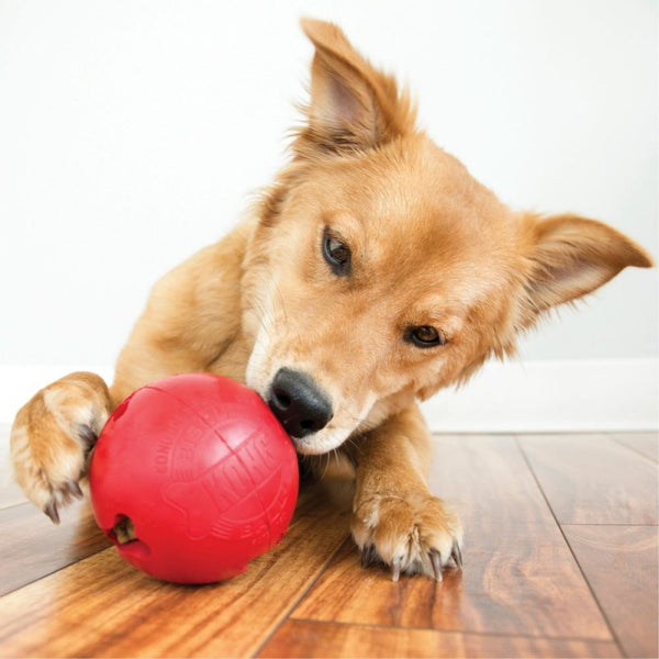 Kong Biscuit Ball : Large