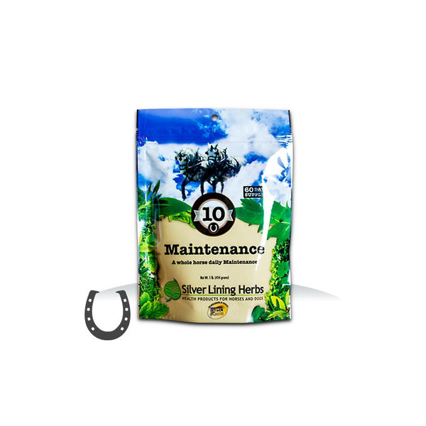 Silver Lining Herb #10 Maintenance Equine : 1lb