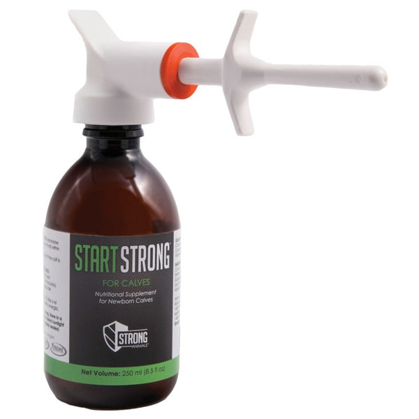 Start Strong for Calves : 250ml