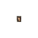 Jorgy Pet Cremation Urn Photo Box Large Cherry