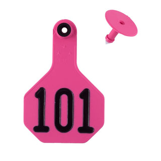 Y-Tex Pink All American 3 Star Tags Medium Numbered 101-125: Pack of 25
