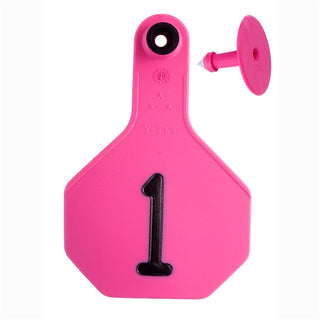 Y-Tex Pink All American 3 Star Tags Medium Numbered 1-25: Pack of 25
