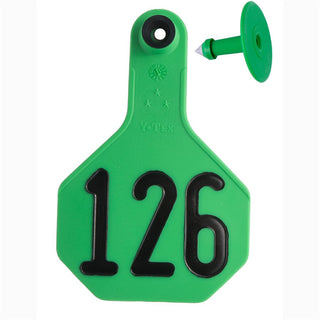 Y-Tex Green All American 3 Star Tags Medium Numbered 126-150: Pack of 25