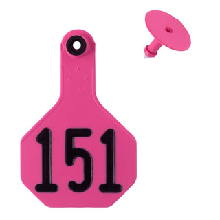 Y-Tex Pink All American 3 Star Tags Medium Numbered 151-175: Pack of 25