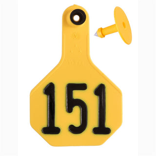 Y-Tex Yellow All American 3 Star Tags Medium Numbered 151-175: Pack of 25