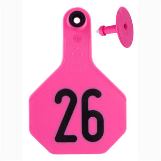 Y-Tex Pink All American 3 Star Tags Medium Numbered 26-50: Pack of 25