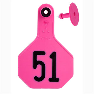 Y-Tex Pink All American 3 Star Tags Medium Numbered 51-75: Pack of 25